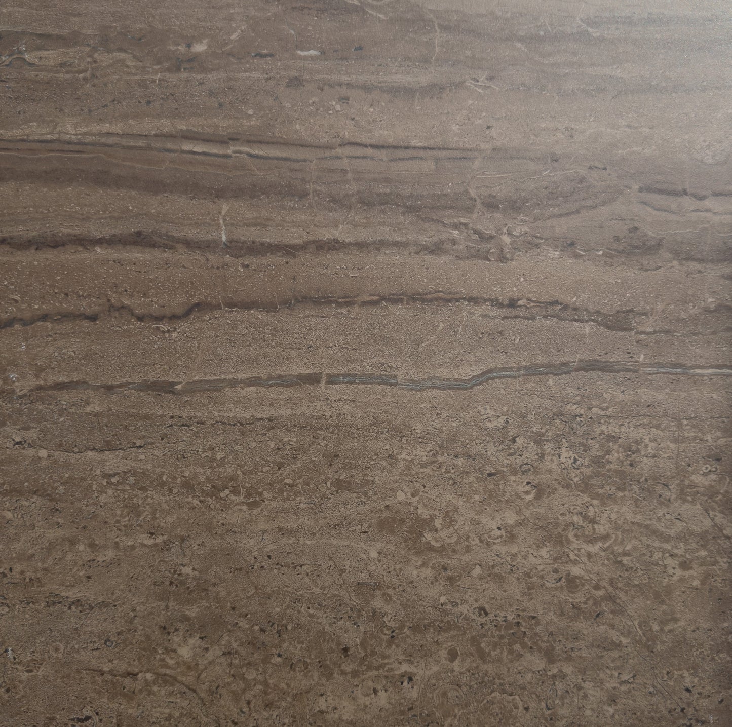 Plytelės Motion Bronze 45x45