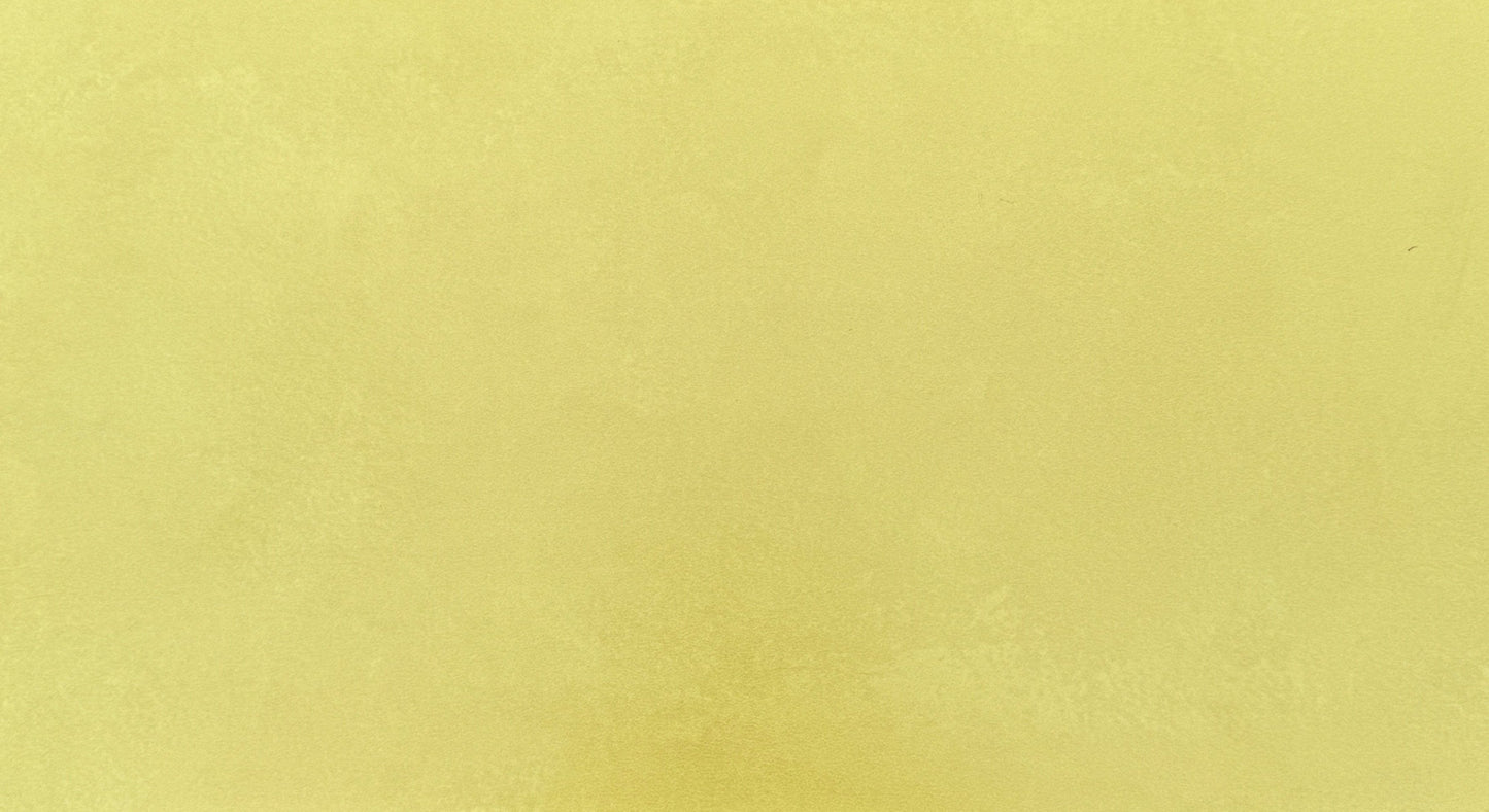 Plytelės X View Green 30,5x56