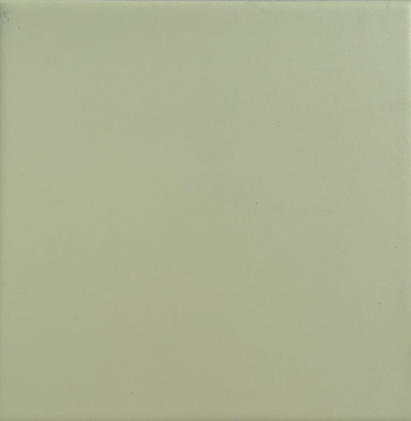 Plytelės X LUCERNA 15x15