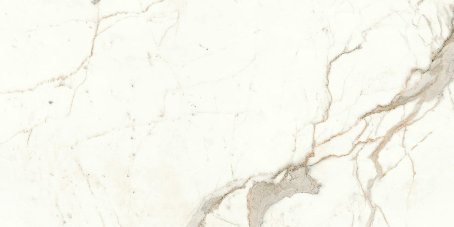 Išpardavimas Plytelės Calacatta Prestigio 60x120 Lappato