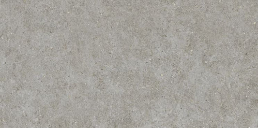 Boost Stone Grey 60x120   A6Q8