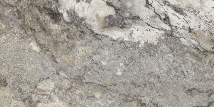 Grey Invisible 60x120  GREINV6 12 RM